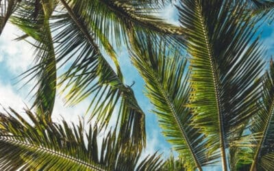 The Power of Guided Imagery for Mental Health